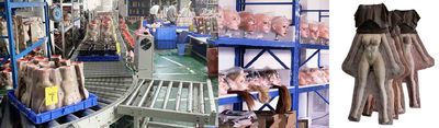 Shenzhen Marcy Healthy Industry Co.,Ltd خط تولید سازنده