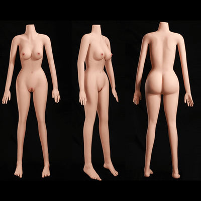 بدن عروسک سکسی قابل تنظیم ارتفاع 158 سانتی متری شکل بدنه لاغر و سینه های کوچک پوست ملایم مرسی